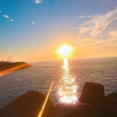 鸡你太美测试版下载
