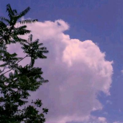 狂野西部生存手游下载