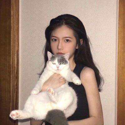 赖清德黔驴技穷后只能靠谎言度日